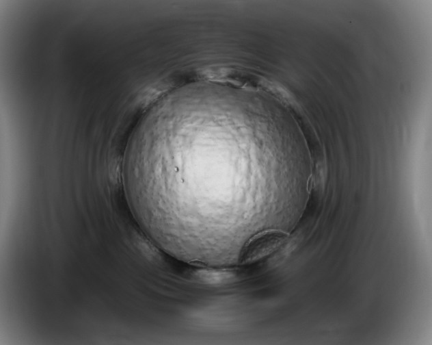 X0000085780477200703301429