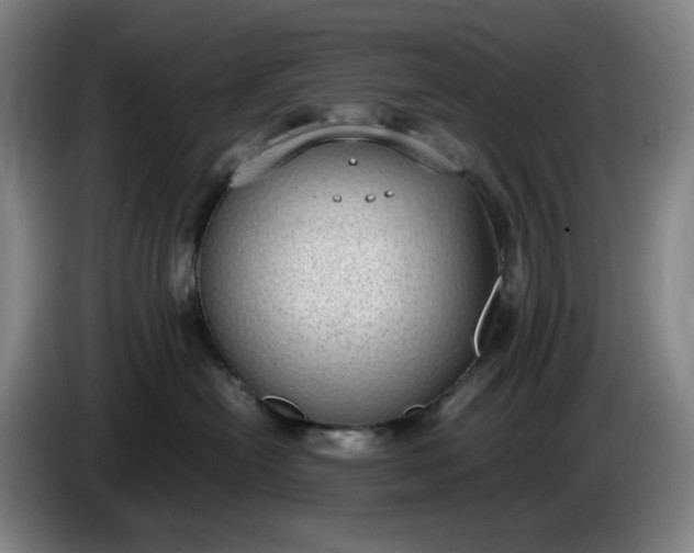 X0000085780478200703301429