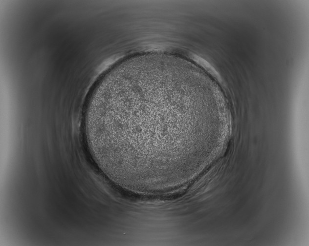 X0000085780483200703301428