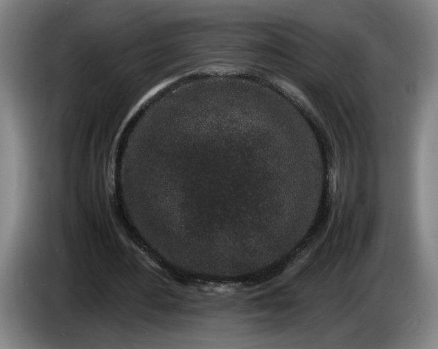 X0000085780484200703301428