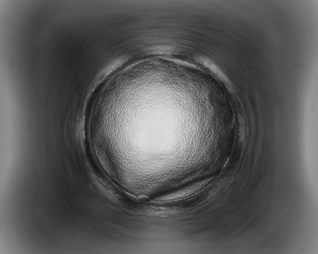 X0000085780486200703301428