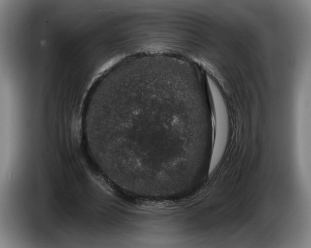 X0000085780488200703301428