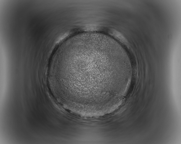 X0000085780491200703301428