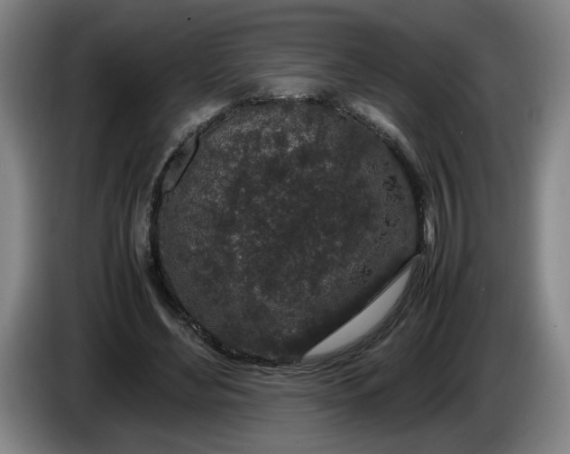 X0000085780492200703301428