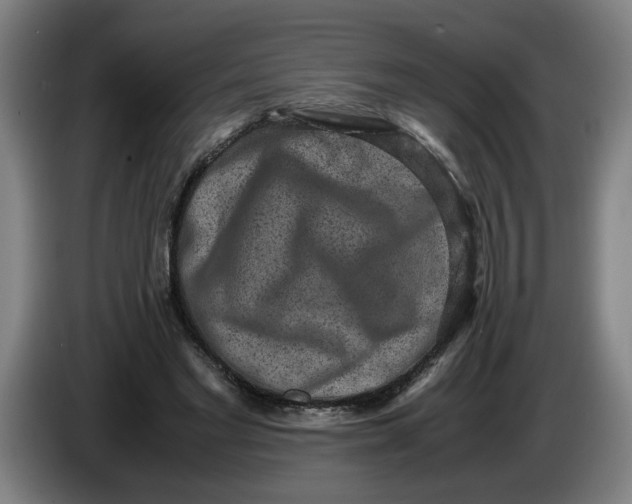 X0000085780493200703301428