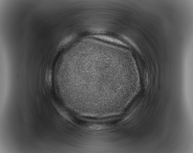 X0000085780494200703301428