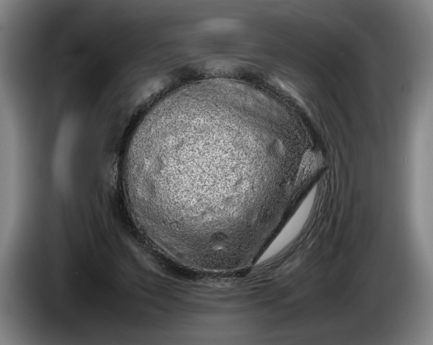 X0000085780495200703301428