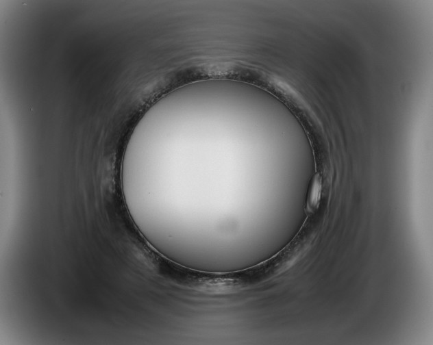 X0000085780497200703301428