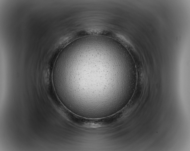 X0000085780498200703301428