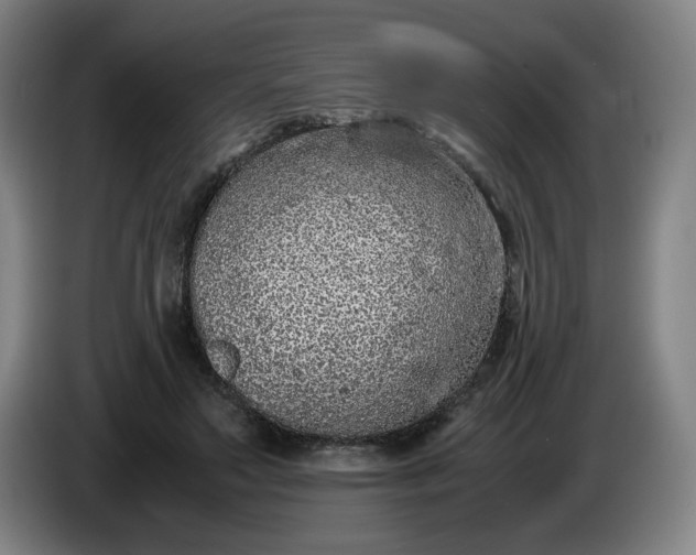 X0000085780499200703301428