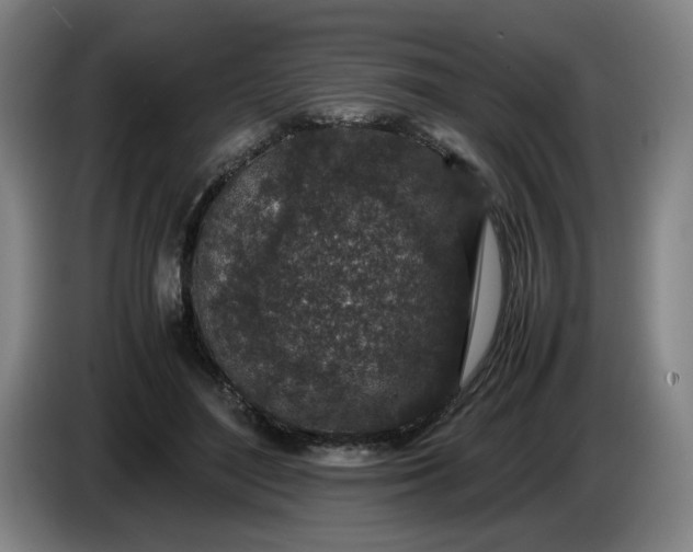 X0000085780500200703301428