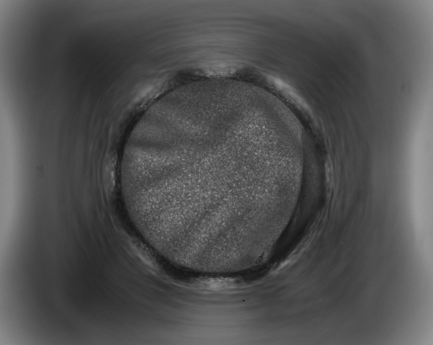 X0000085780501200703301428