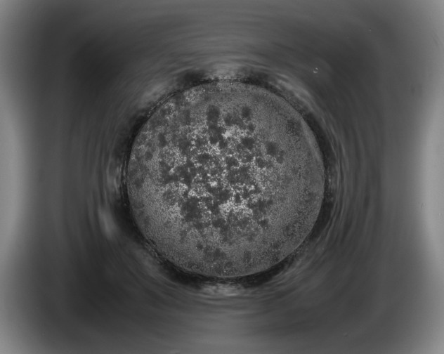 X0000085780503200703301428