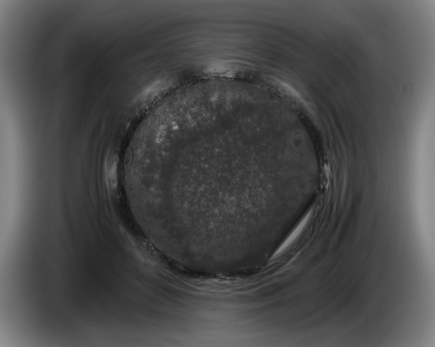 X0000085780504200703301428