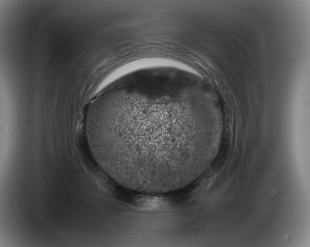 X0000085780507200703301428