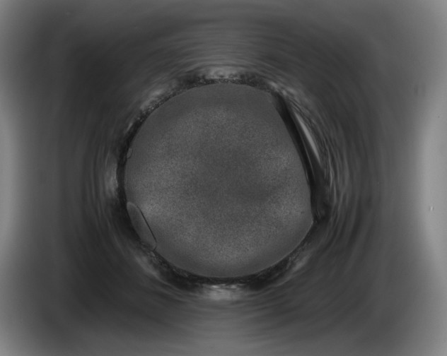 X0000085780508200703301428