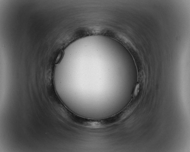 X0000085780509200703301428