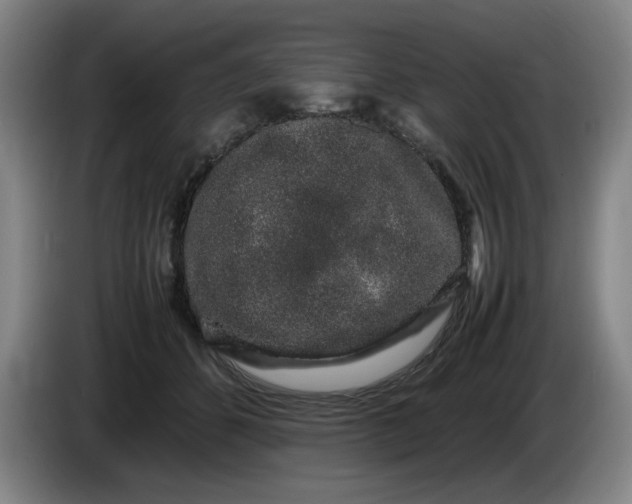 X0000085780512200703301428