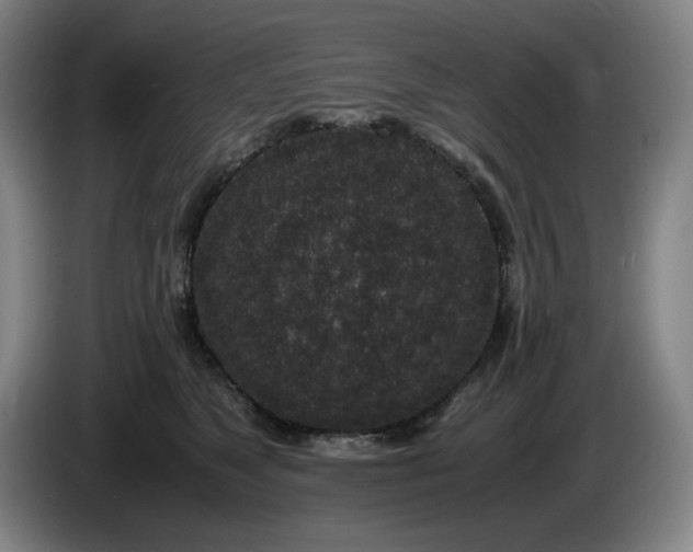 X0000085780517200703301428