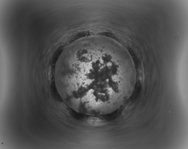 X0000085780519200703301428