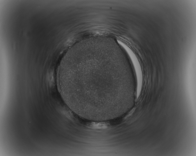 X0000085780520200703301428