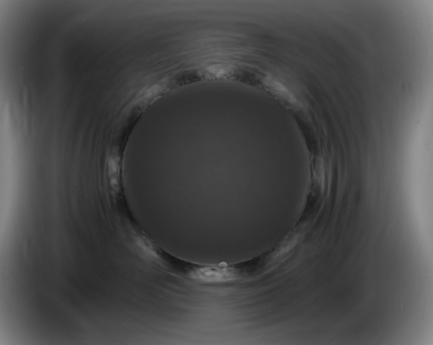 X0000085780526200703301428