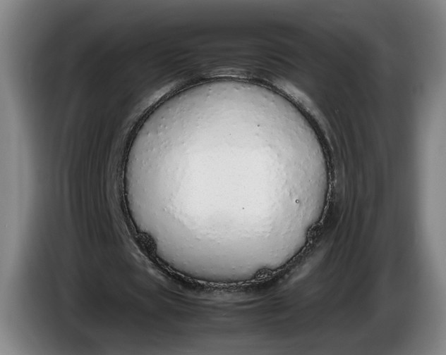 X0000085780529200703301427