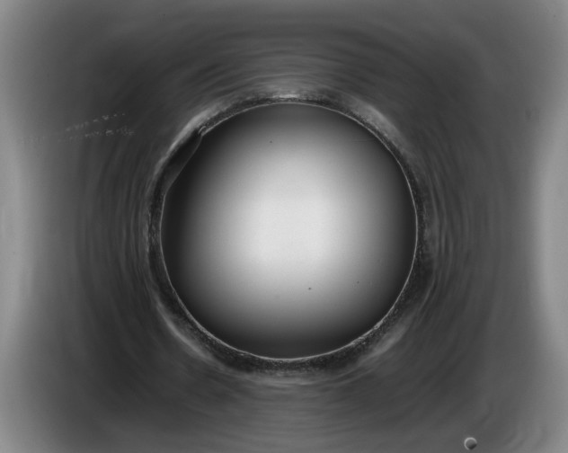 X0000085780530200703301427