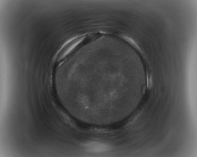 X0000085780531200703301427