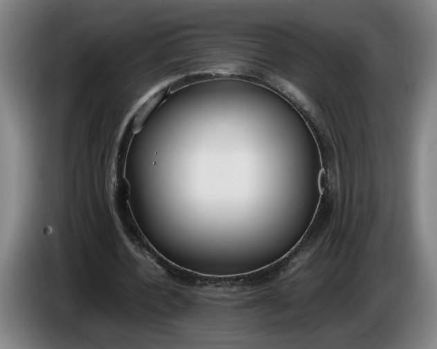 X0000085780532200703301427