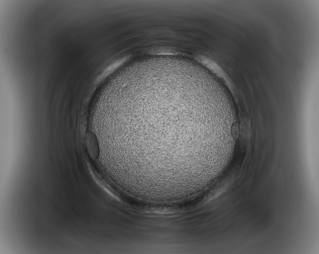 X0000085780533200703301427