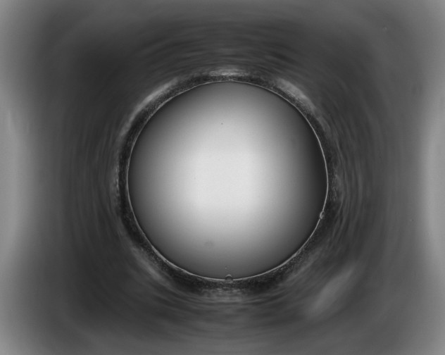 X0000085780535200703301427