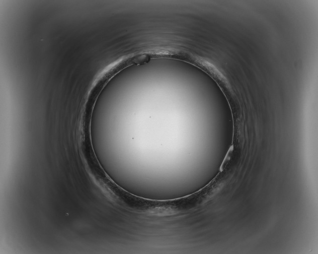 X0000085780536200703301427