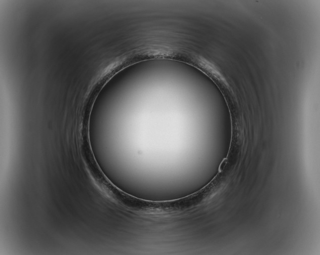 X0000085780538200703301427