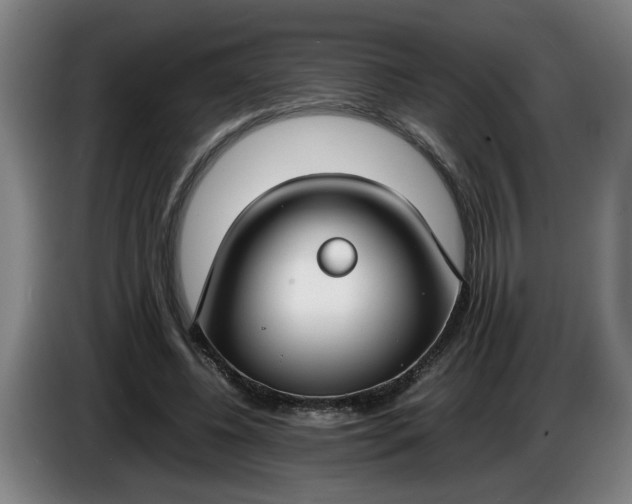 X0000085780540200703301427