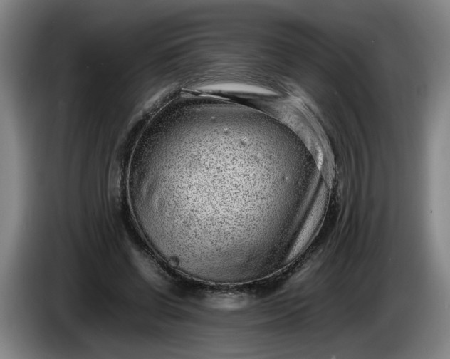 X0000085780542200703301427