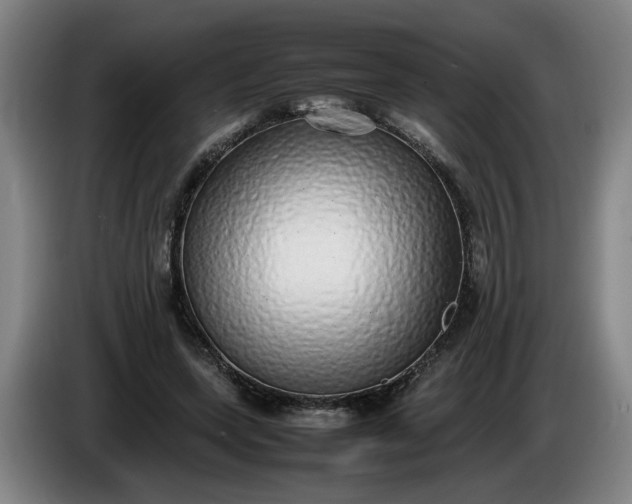 X0000085780543200703301427