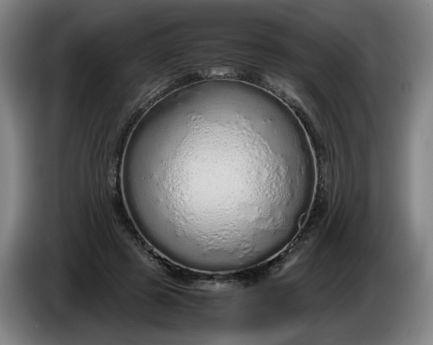 X0000085780545200703301427