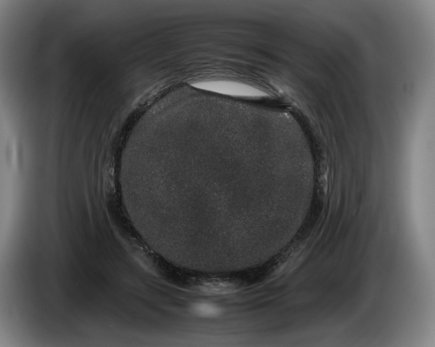 X0000085780547200703301427