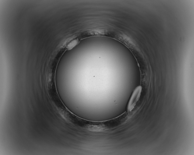 X0000085780548200703301427