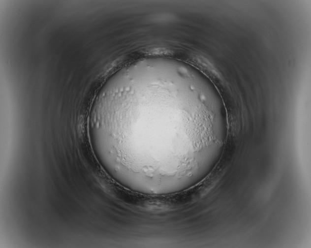 X0000085780549200703301427