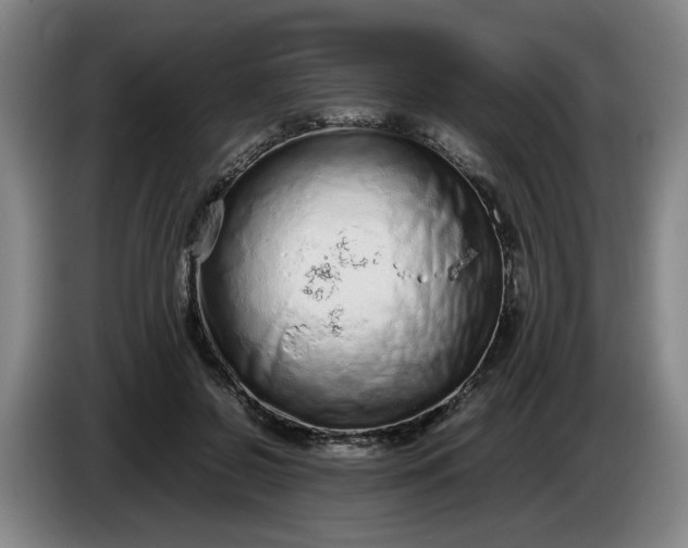 X0000085780550200703301427