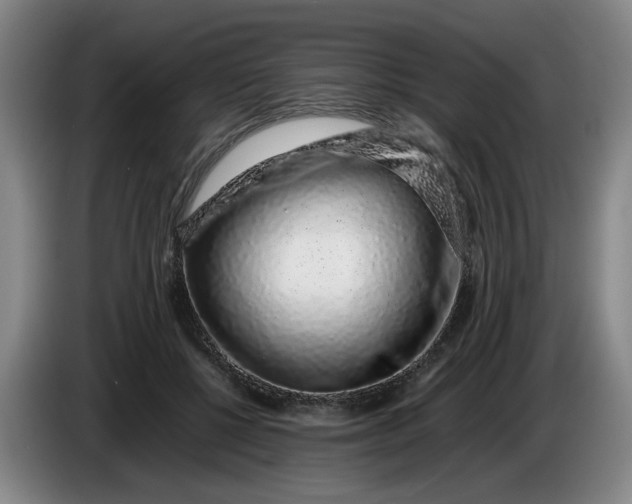 X0000085780552200703301427