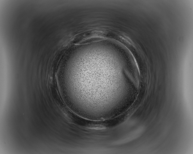 X0000085780553200703301427