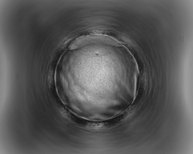 X0000085780554200703301427