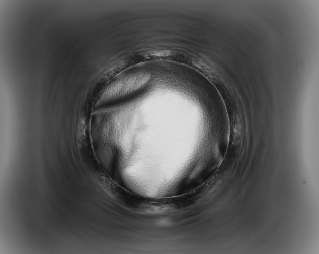 X0000085780555200703301427