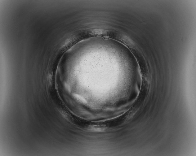 X0000085780556200703301427