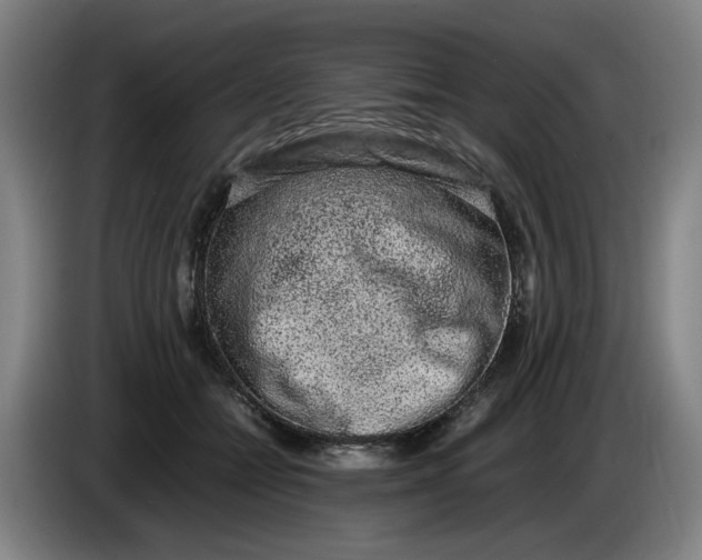 X0000085780558200703301427