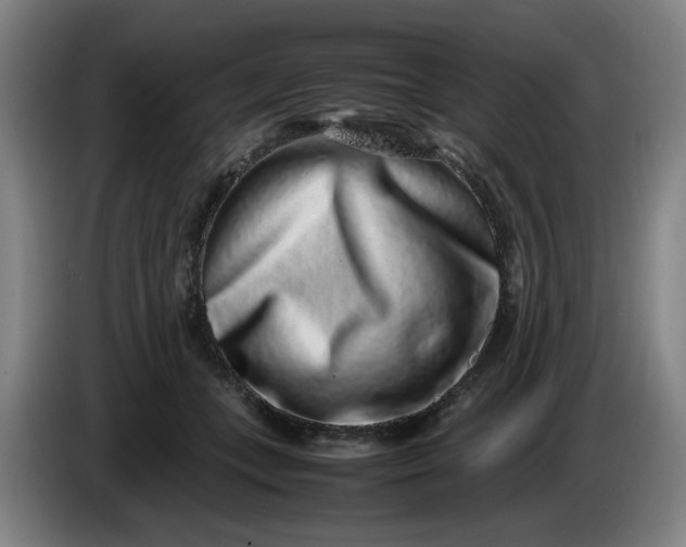 X0000085780559200703301427