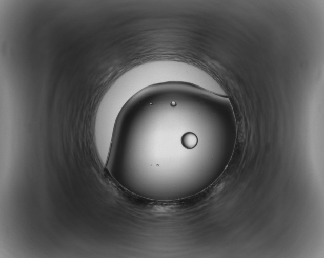 X0000085780560200703301427